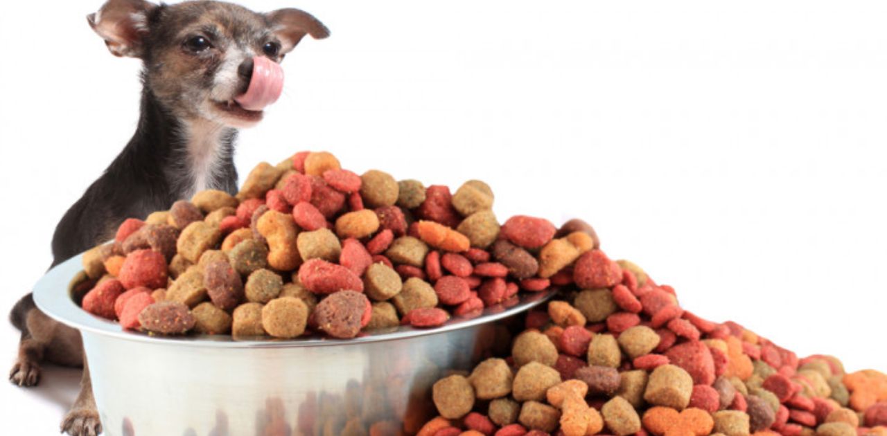 Is Purina Pro Plan A Good Dog Food